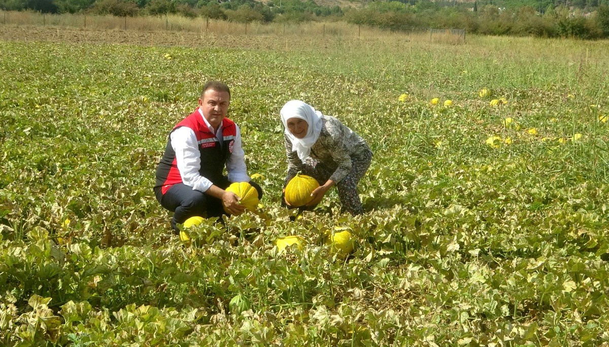 Ata tohumundan gelen miras: 