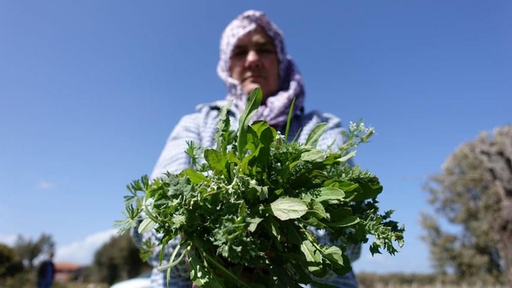 Dy68c68TUyeR nWCGLUqA