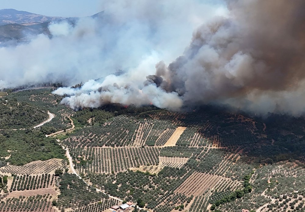 Türkiye'nin ciğerleri yanıyor: İşte yangınlarda son durum - 11