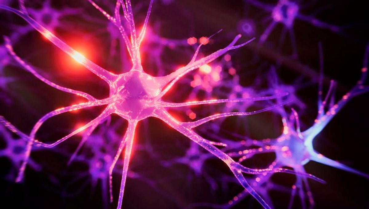 Beynin hafızası dolabilir mi?