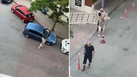 Araçların aynalarını kırdı, güvenlik görevlisine saldırdı