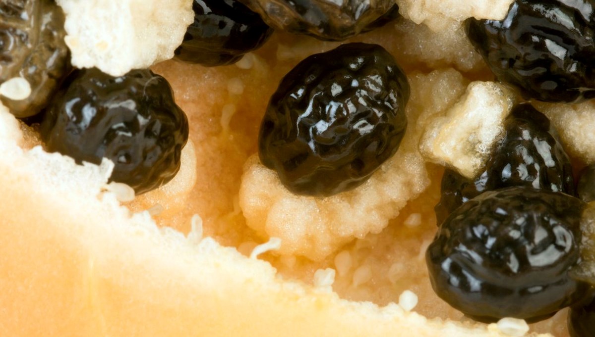 Yoğurtla yiyince vitamini katlanıyor: 30 yaş sonrası tüketilmesi gereken 6 meyve