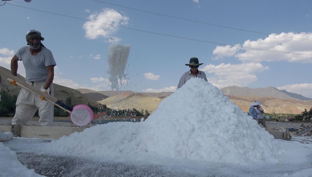 Dünyanın en sağlıklısı Erzincan'da üretiliyor: 40 derece sıcakta zorlu mesai