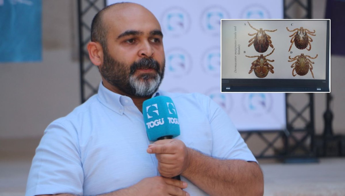 Kene ısırırsa ne yapılmalı?