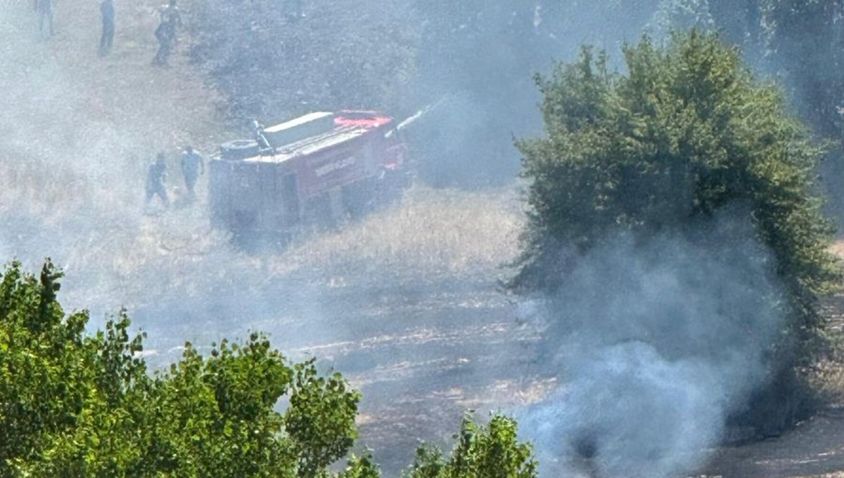 Kastamonu'da anız yangını ormana sıçradı