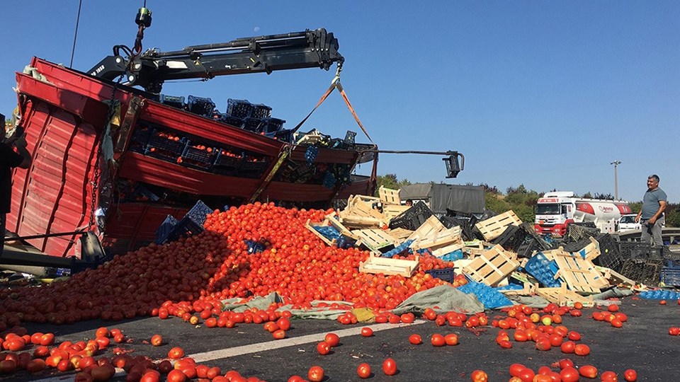 TEM'de kamyon devrildi: Tonlarca meyve ve sebze yolla döküldü - 1