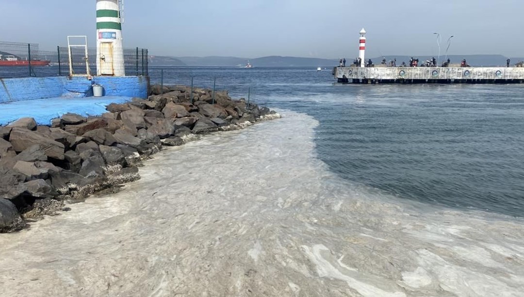 Müsilaj geri döndü, Çanakkale’de tüm iskeleyi sardı