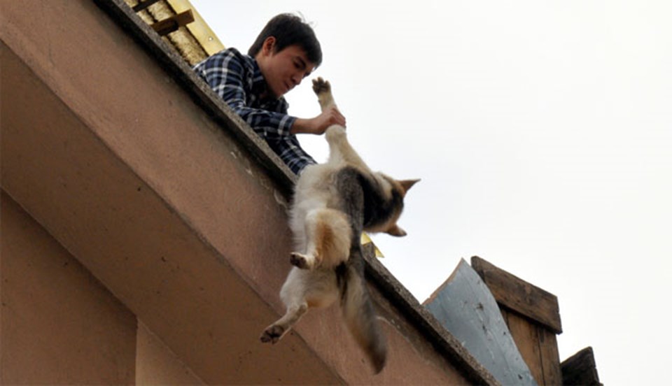 Çatıda asılı kalan köpeği kurtardılar  - 1