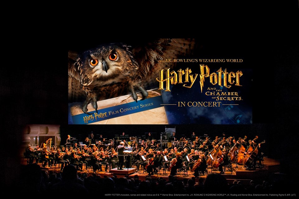 Harry Potter in Concert serisi  İstanbul'da - 2