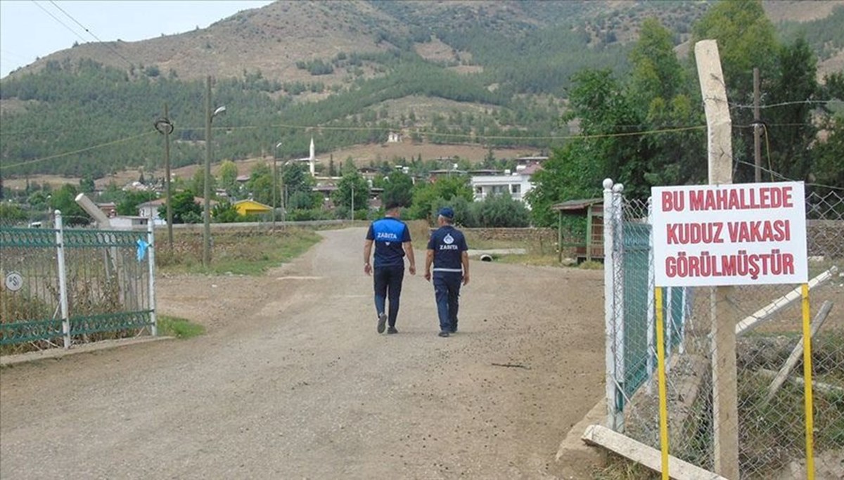 “Şanlıurfa’dan kuduz hayvan nakledildi” iddiasına valilikten açıklama