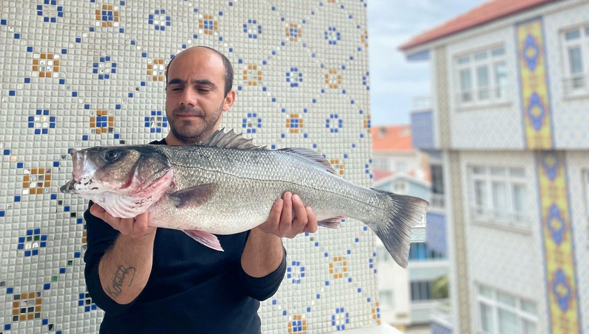 7,5 kiloluk dev levrek yakalandı 7,5 kiloluk dev levrek yakalandı