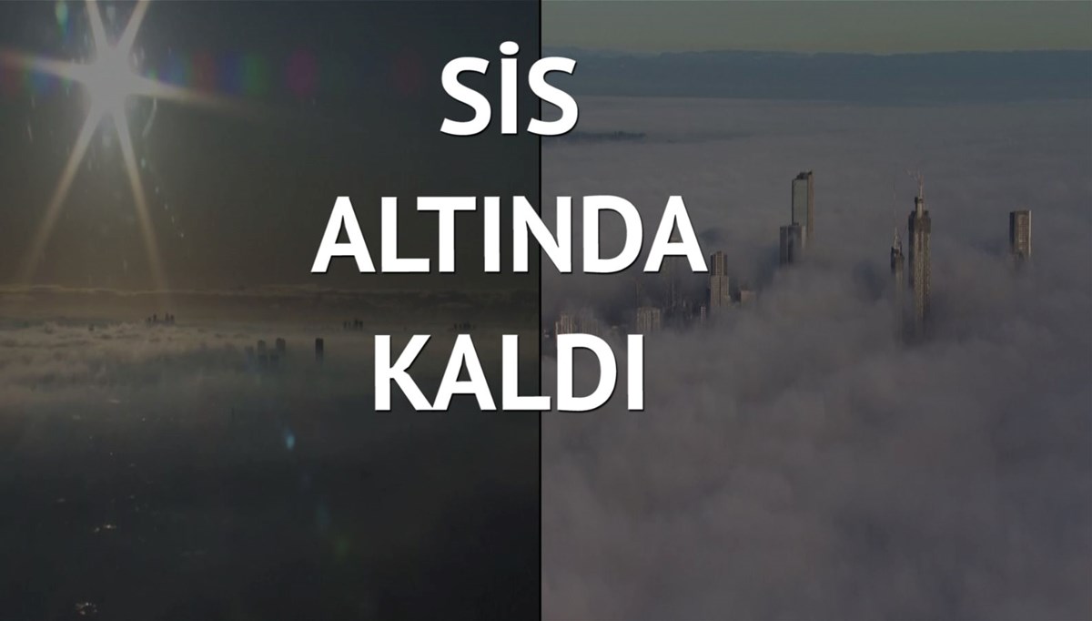 Sidney sisle kaplandı