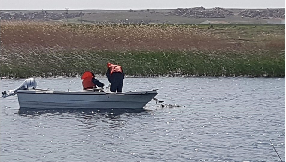 Eskişehir'de istilacı balık türleri ile mücadele