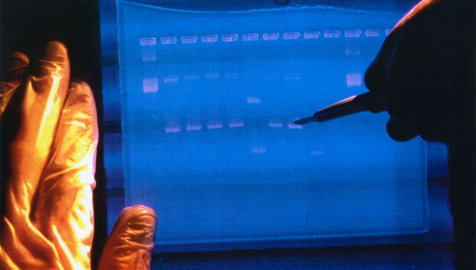 DNA'lar yeniden kodlanacak: Laboratuvarda