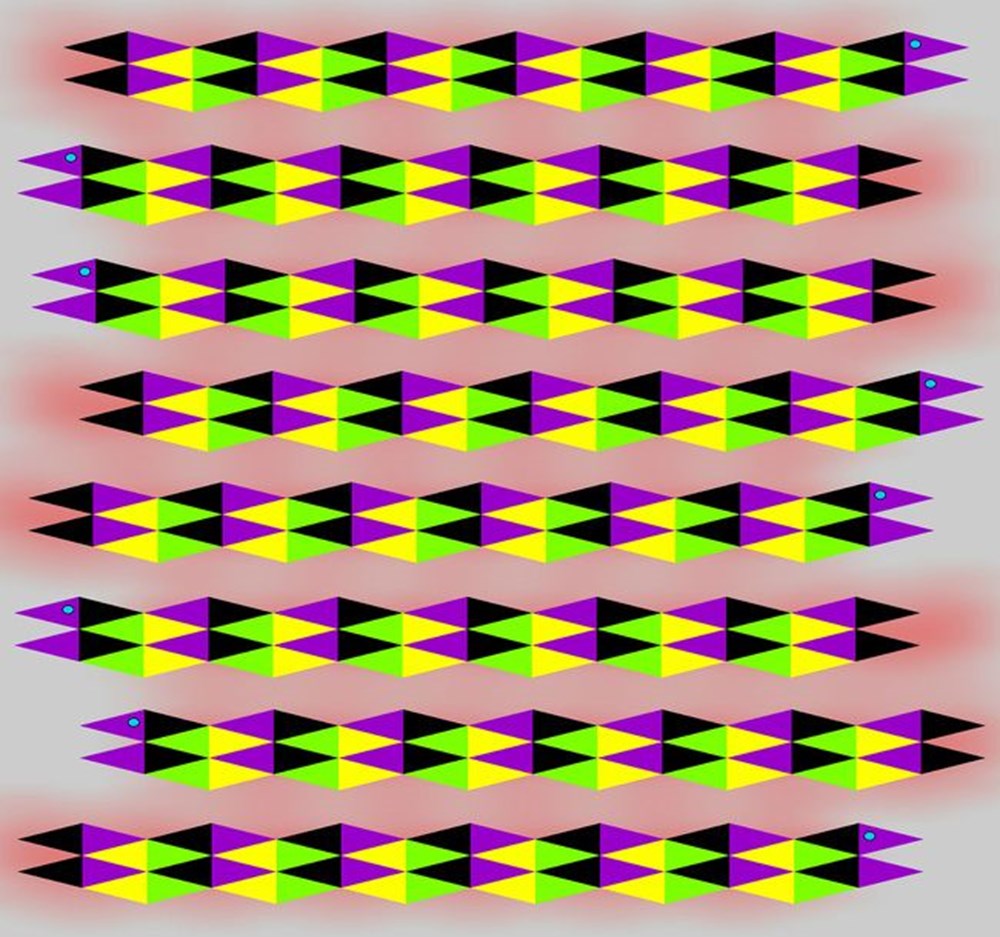 Движущиеся картинки для глаз. Акиоши Китаока иллюзия. Иллюзии для глаз. Оптические иллюзии движения. Движущиеся иллюзии.