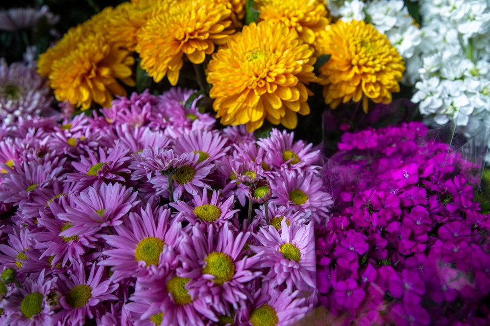 Çiçekçilerde Sevgililer Günü hazırlığı: Tek gülün fiyatı 150 lira - 6
