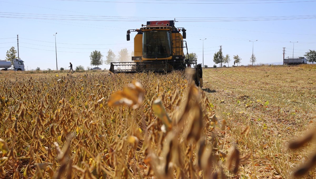 Diyarbakır'da soya ekim alanı üçe katlandı