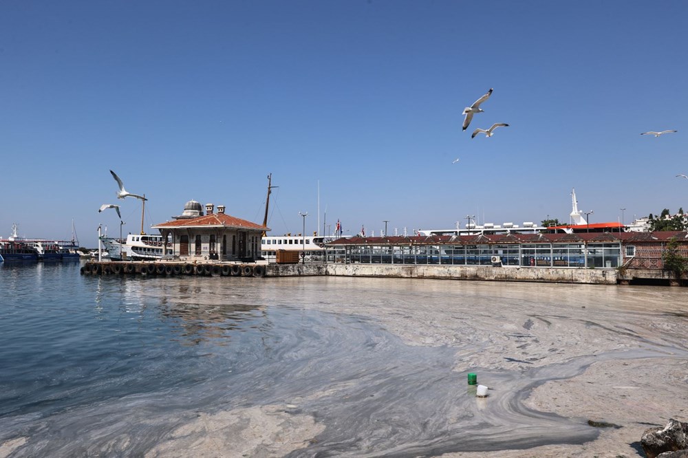 Marmara Denizi nasıl kurtulur? 3 aşamalı çözüm önerisi - 9