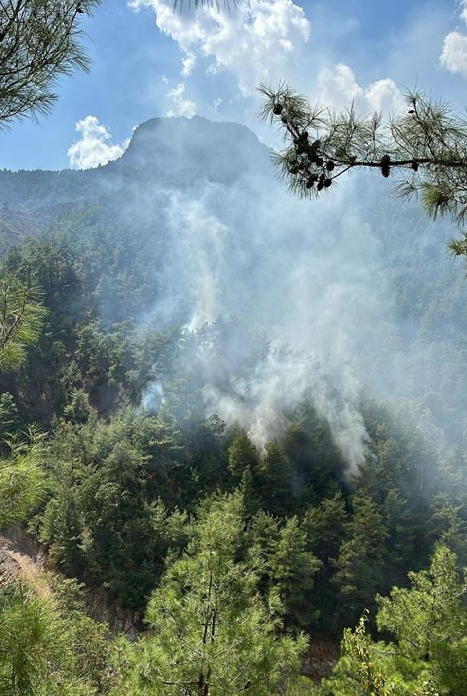 Adana'daki orman yangınları kontrol altında - 1