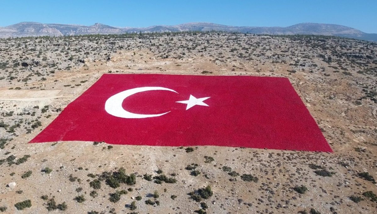 22 dönümlük araziye işlenen dev Türk bayrağı 20 günde boyandı