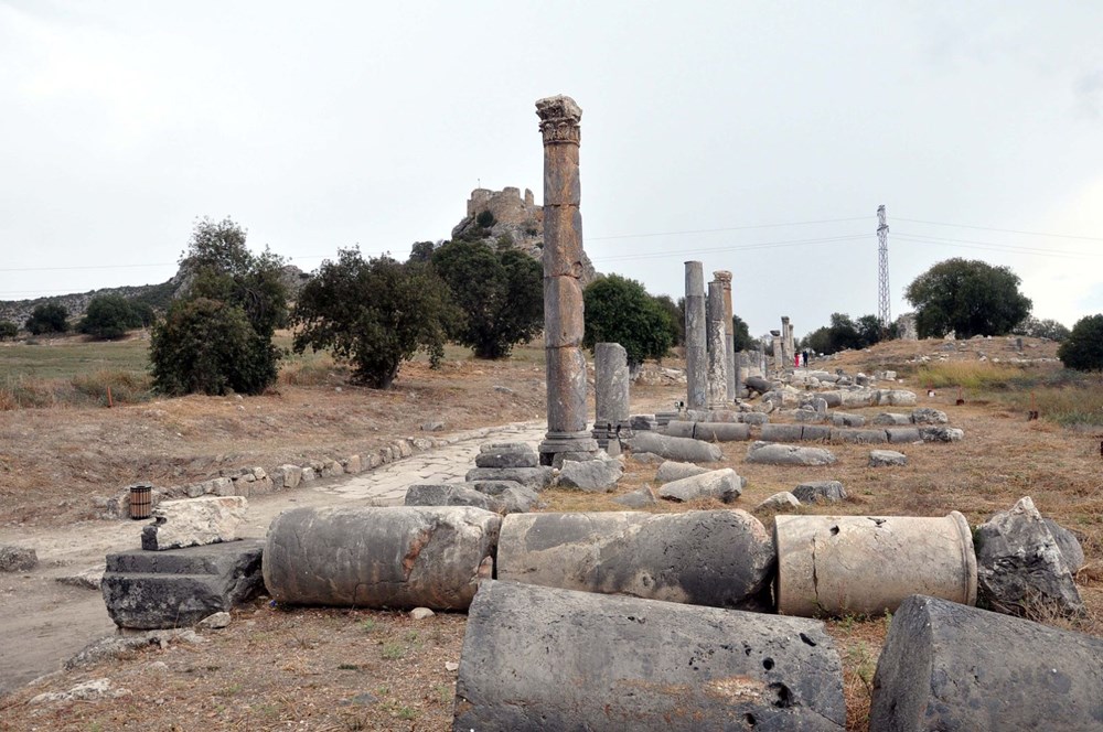 Osmaniye'deki Kastabala Antik Kenti'nde kazı çalışmaları yeniden başladı - 3