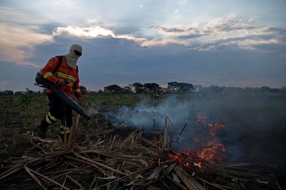 Dünyanın geleceği alarm veriyor: Son 50 yılda dünyadaki sulak alanların yüzde 35'i yok oldu - 1