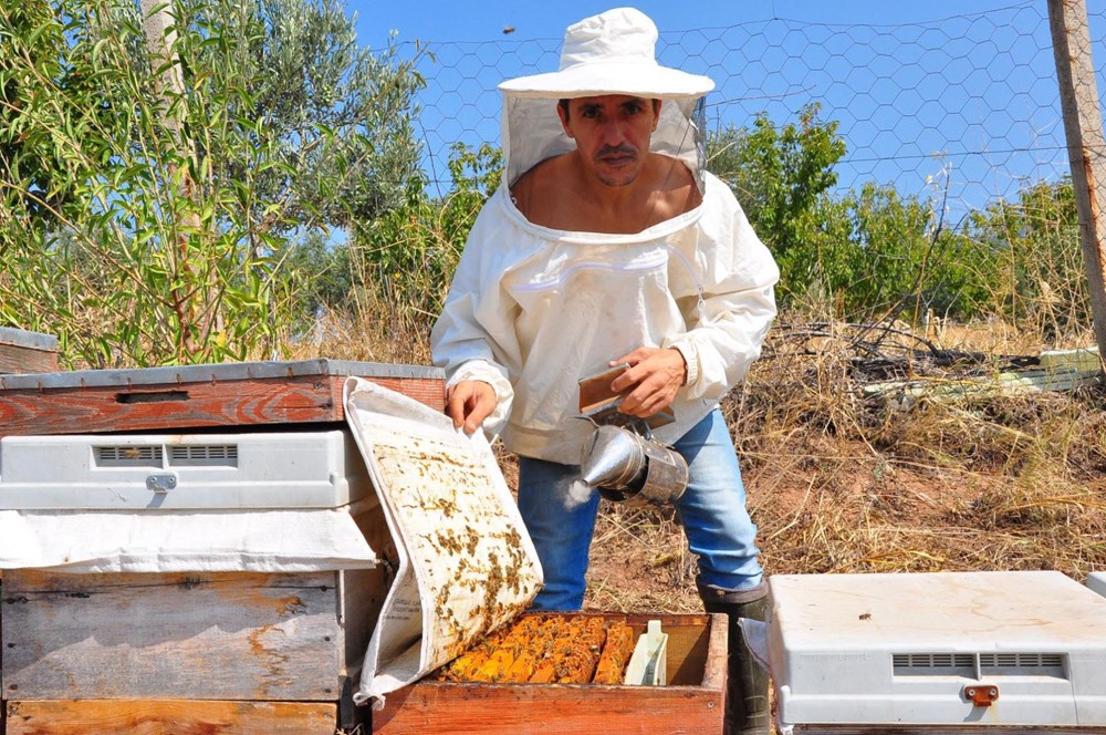 Gramını 700 liradan arı zehri ihraç ediyor - 4