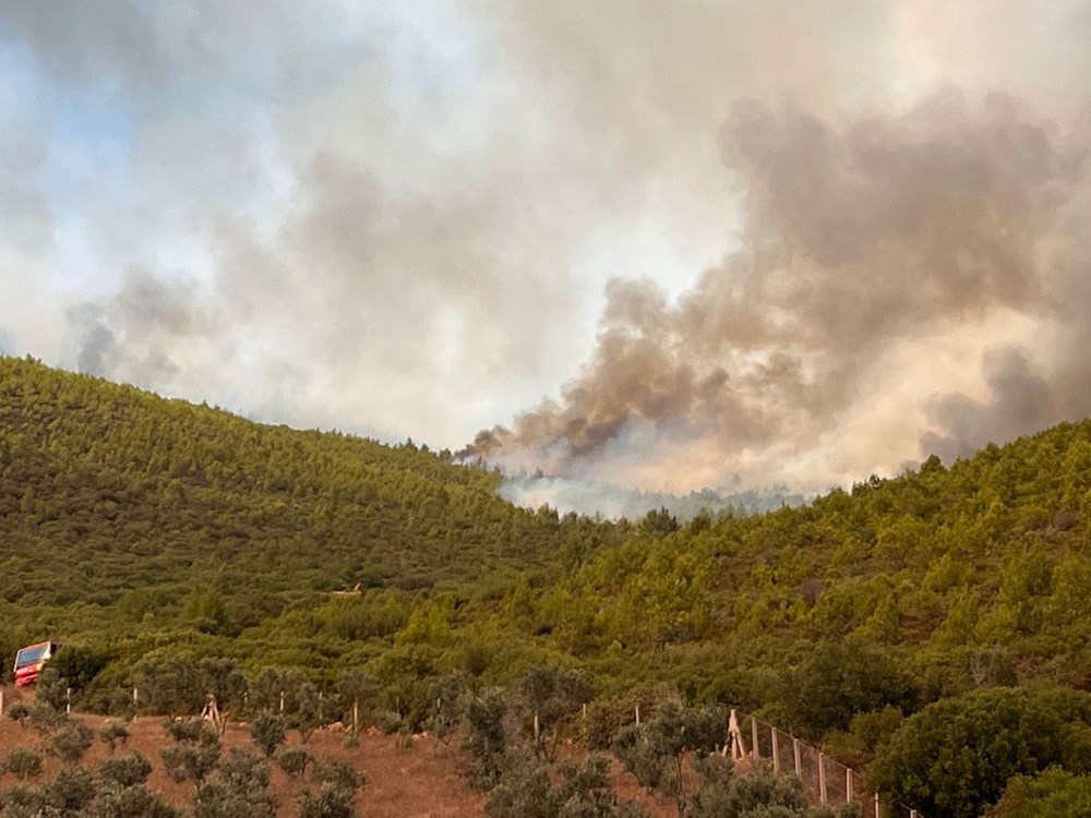 Muğla'da orman yangını - 5