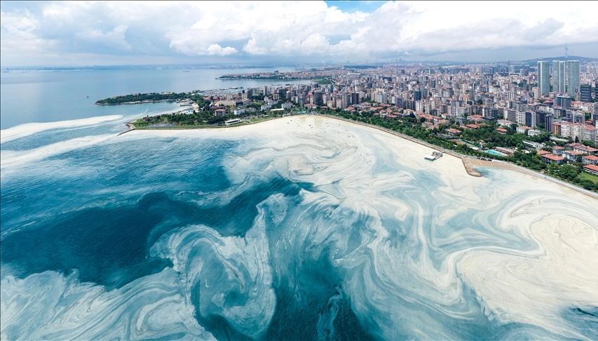 Marmara’da kabus geri döndü | İki noktada tespit edildi, tabakalardan biri 10 metre kalınlığında: “Çok hızlı bir şekilde çöküşe gidiyor!”