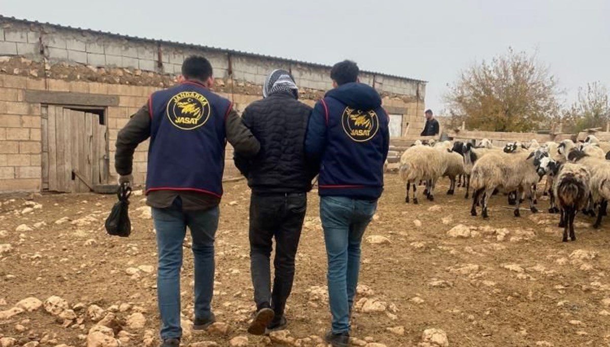 Mardin’de 2 aydır aranan cezaevi firarisi yakalandı