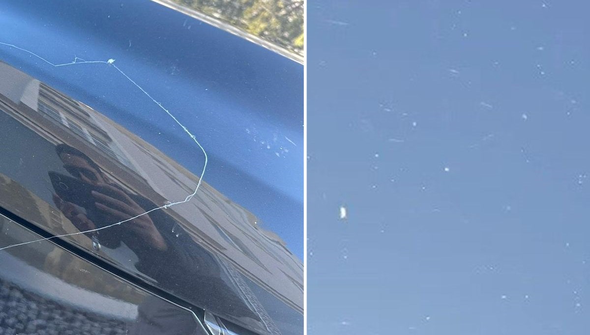 Gökyüzünden örümcek ağı yağdı