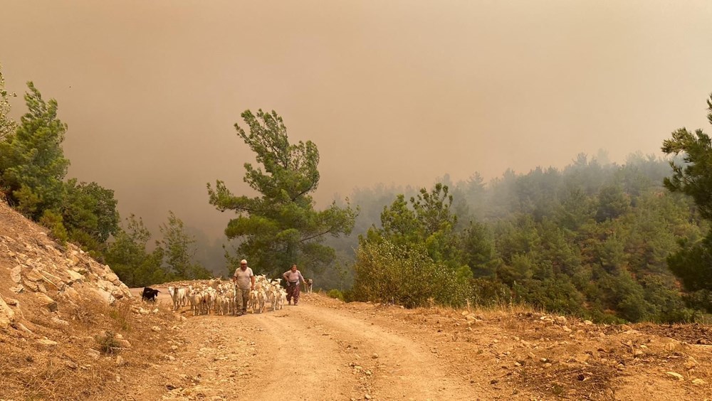 Çanakkale'de orman yangını (6 köy ve üniversite kampüsü tahliye edildi) - 17