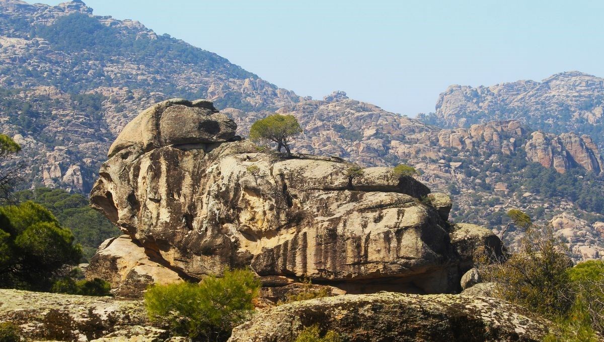 Latmos'ta yeni kaya resimleri tespit edildi