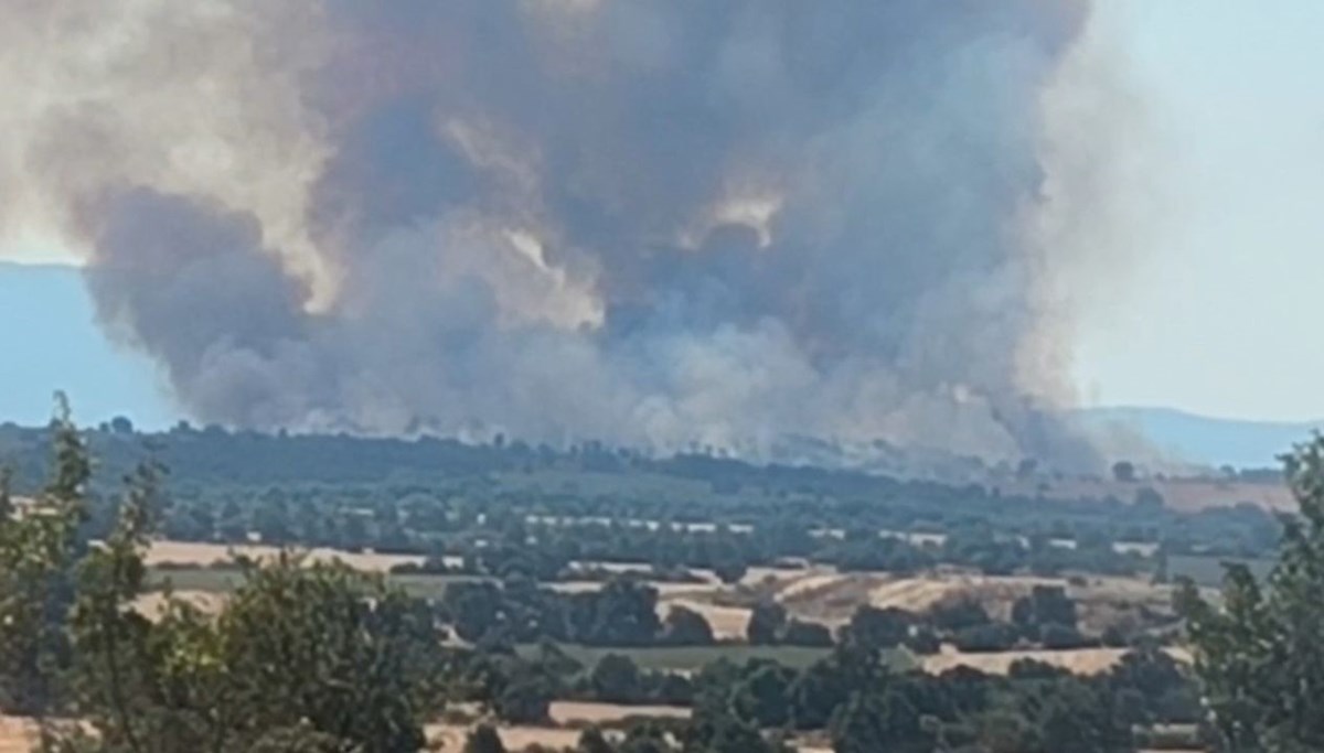 Komşudaki yangın Edirne'yi dumana boğdu