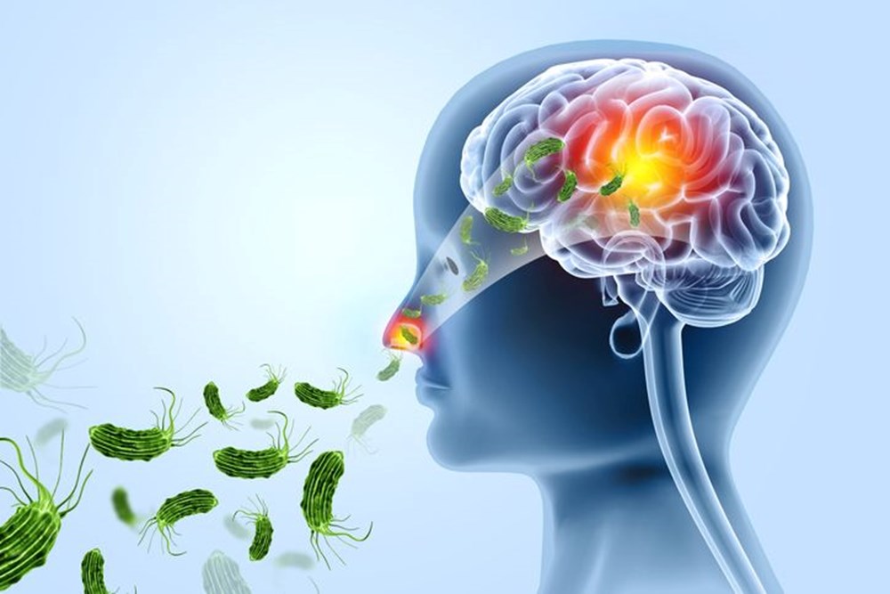 Hastanelere 100'den fazla kişi akın etti: Ülkede beyin yiyen amip paniği - Son Dakika Dünya Haberleri | NTV Haber