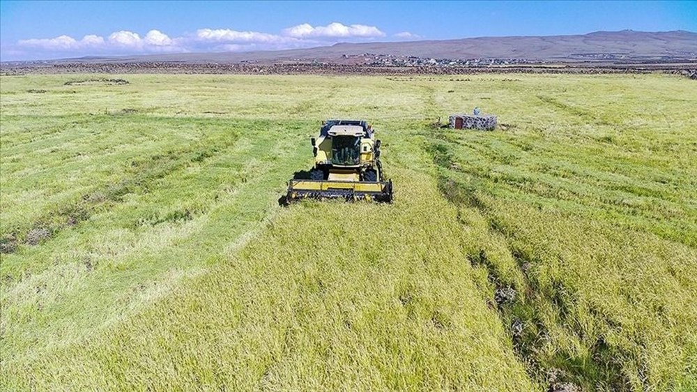 qwG22o EEegylYXbt7uEw