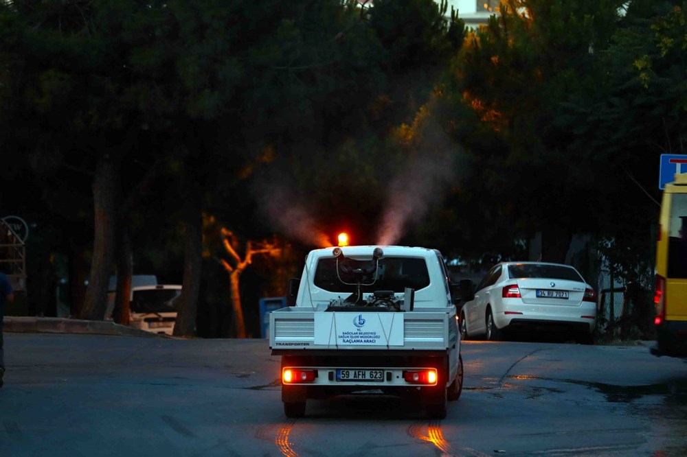 İstanbul'da'Aedes' cinsi sivrisinekle mücadele - 4