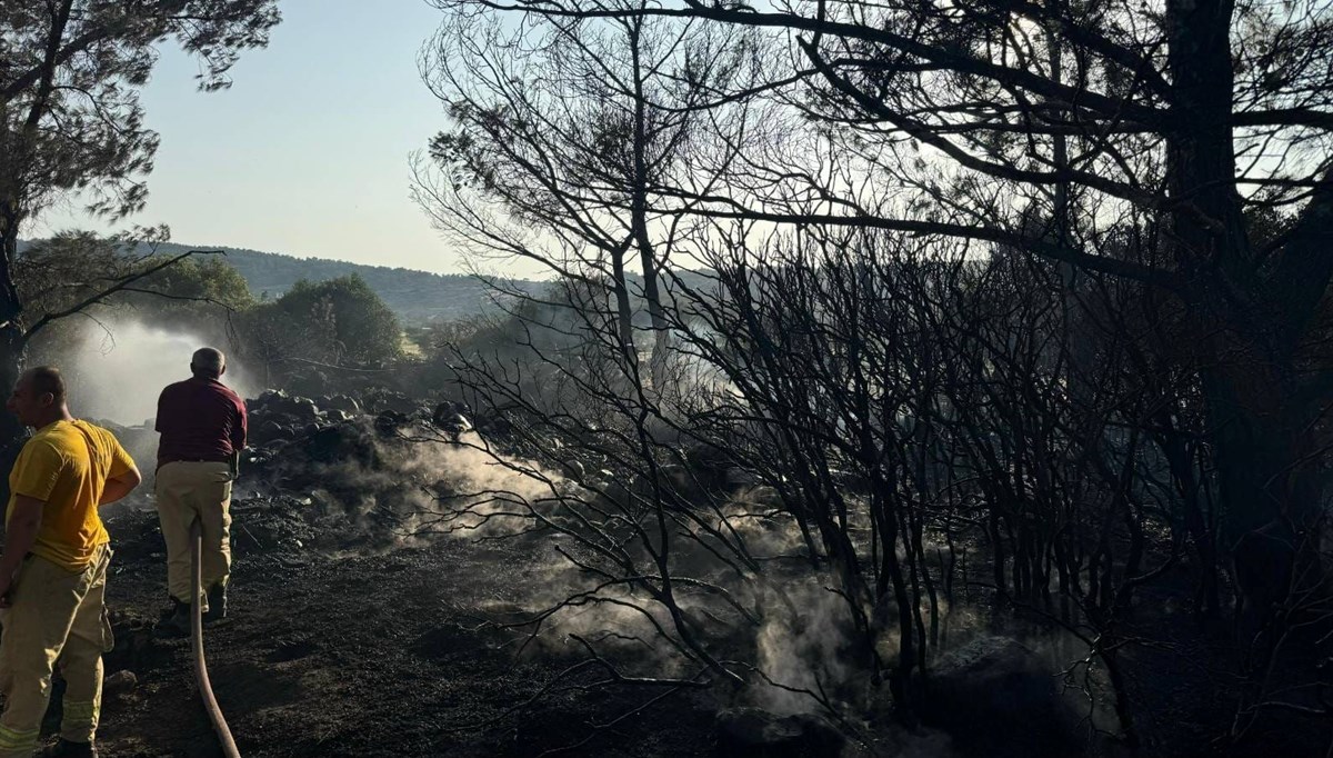 Urla'daki yangın mangaldan çıkmış