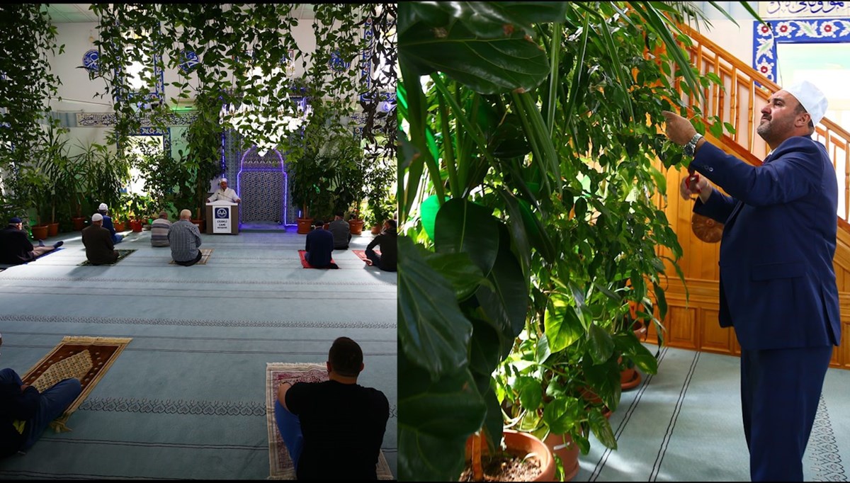 Botanik bahçesi gibi cami