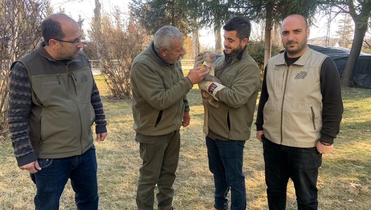 Yolda yürürken maymun buldu!