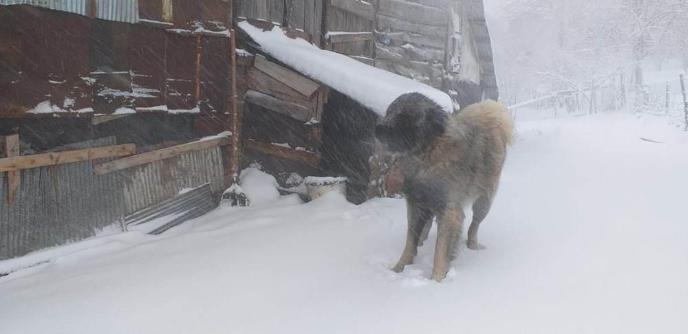 Türkiye soğuk havanın etkisinde: Birçok ilde kar yağışı var - 26