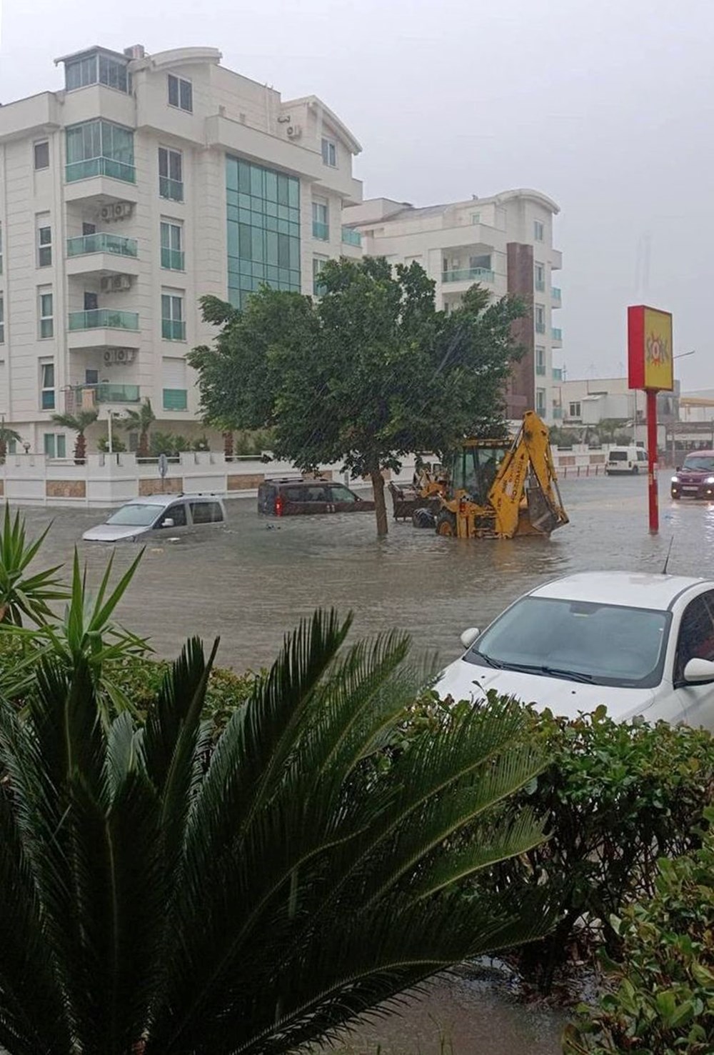 Antalya'yı fırtına vurdu: Dev dalgalar oluştu, ağaçlar devrildi - 19