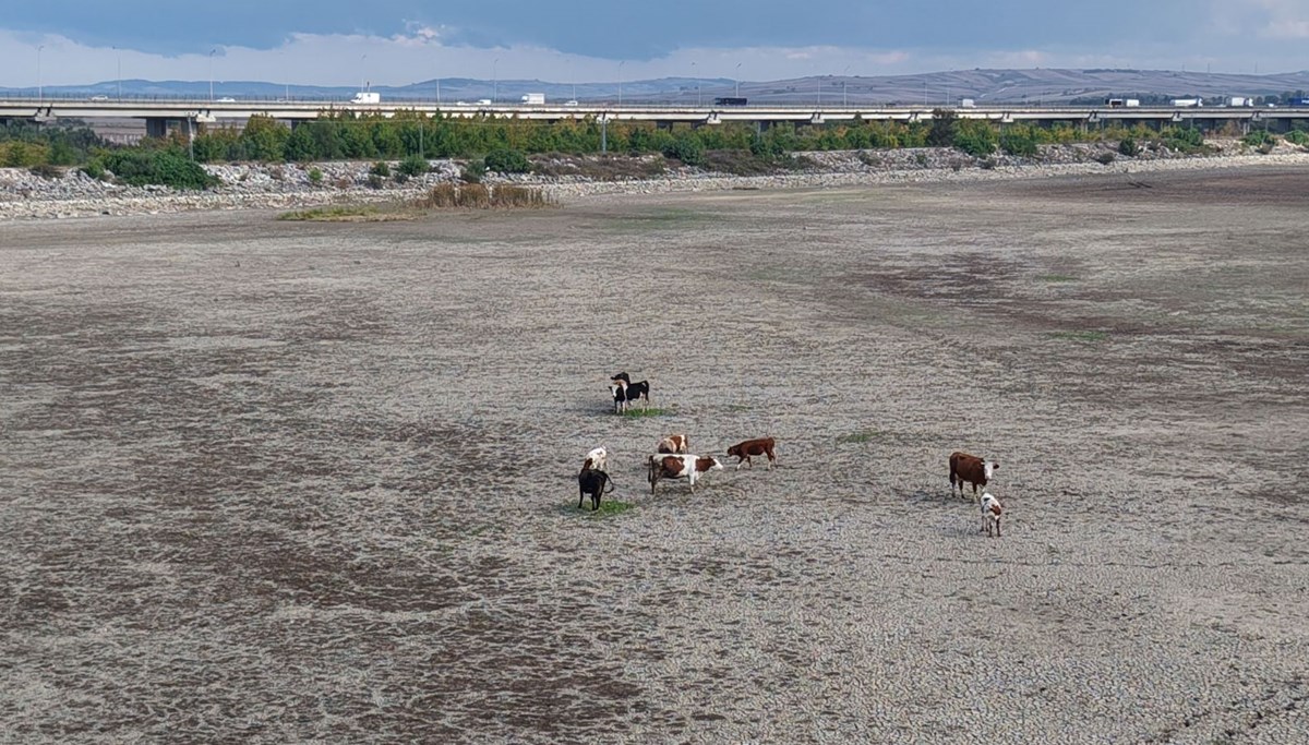 İstanbul barajlarında son durum