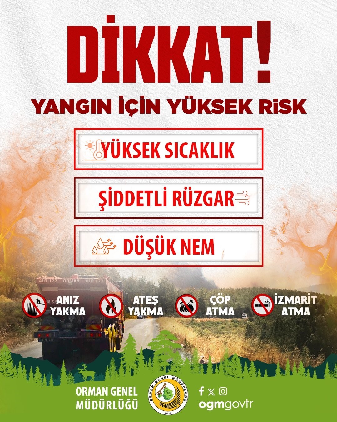 Orman Genel Müdürlüğü