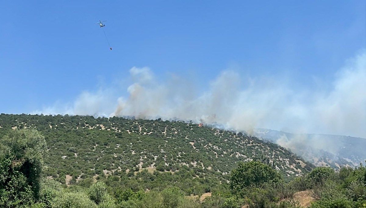 Balıkesir'de arazi yangını