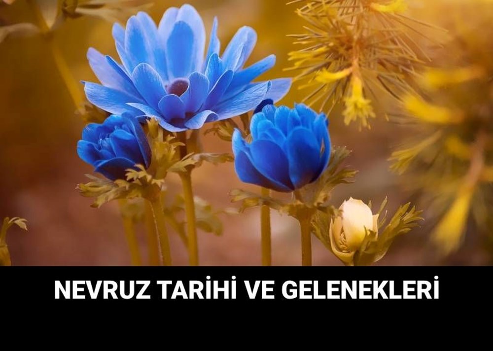 Nevruz Bayramı ne zaman, kimler tarafından kutlanır? Nevruz Bayramı gelenekleri - 1