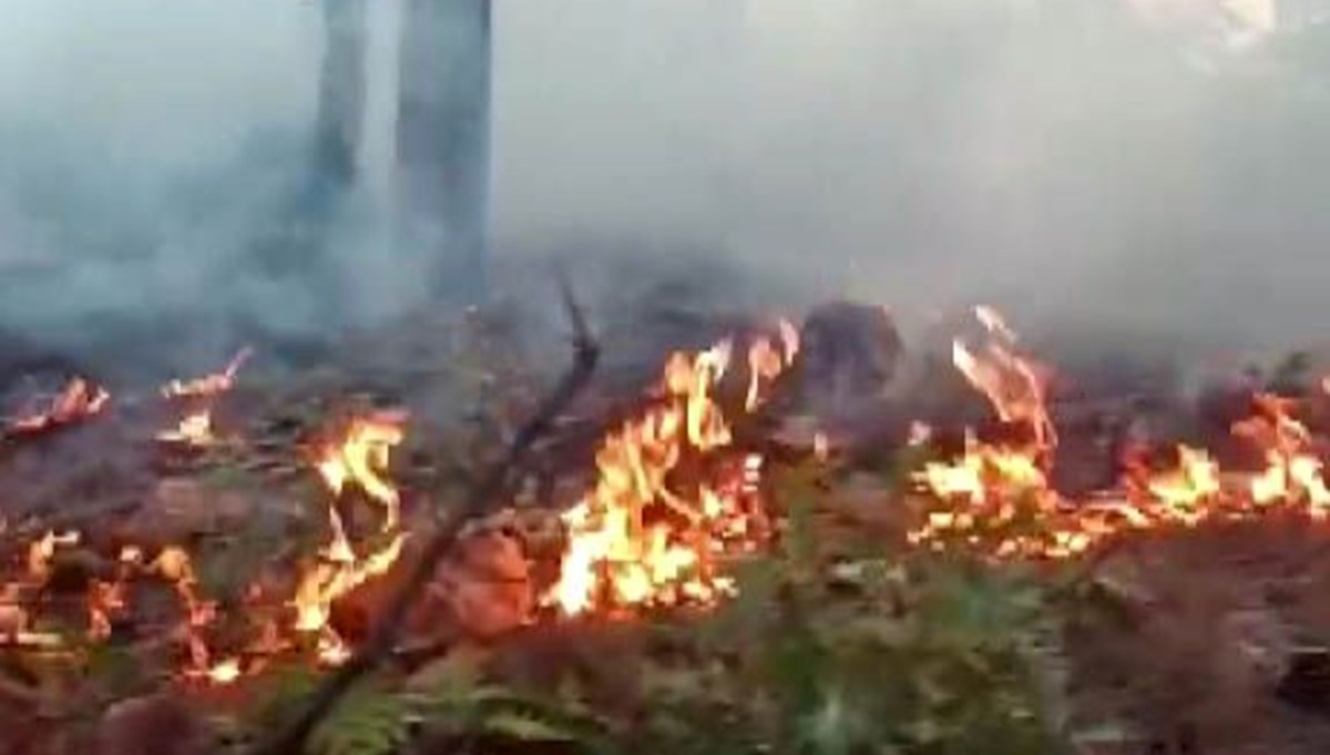 Kahramanmaraş’ta orman yangını 3 gündür devam ediyor Kahramanmaraş’ta orman yangını 3 gündür devam ediyor