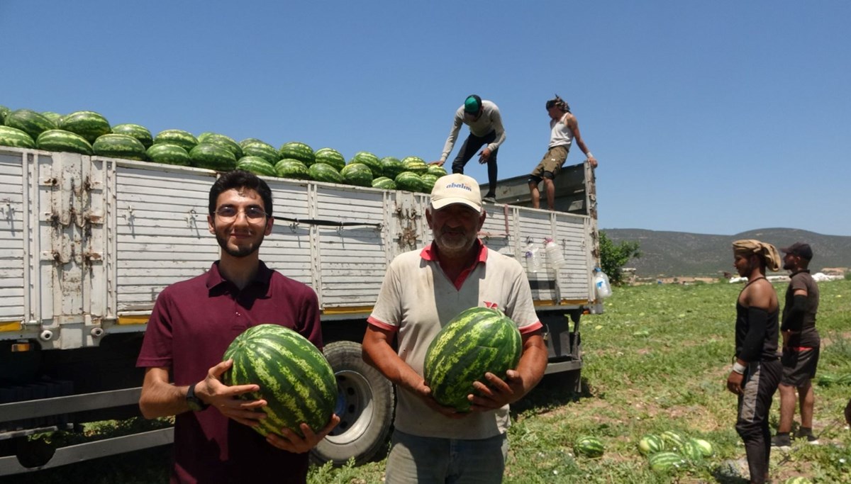 Yerinde 1 lira, markete 10 lira: Tarlada hasadı sürüyor