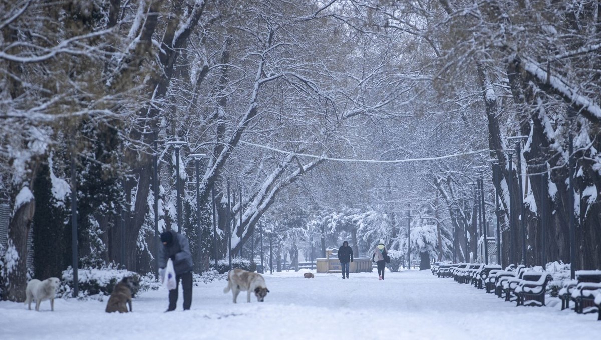 Ankara kar yağışı sonrası beyaza büründü