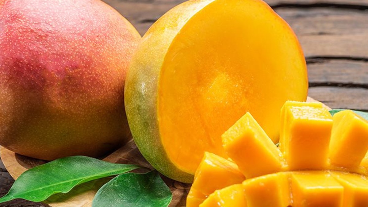 turkiye ye tropikal piyango mango ntv